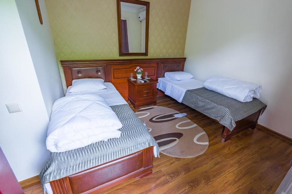 Отель Hotel Prometheus Gate Цхалтубо-46